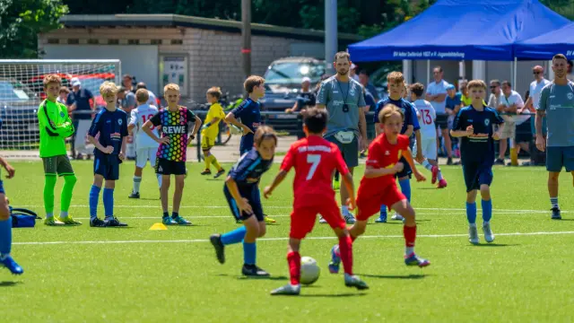 Impressionen aus dem letzten Jahr