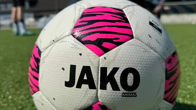 Impressionen der Adler-Camps