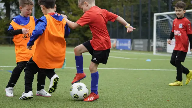 Impressionen der Adler-Camps