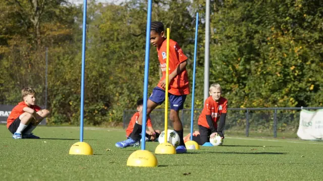 Impressionen der Adler-Camps