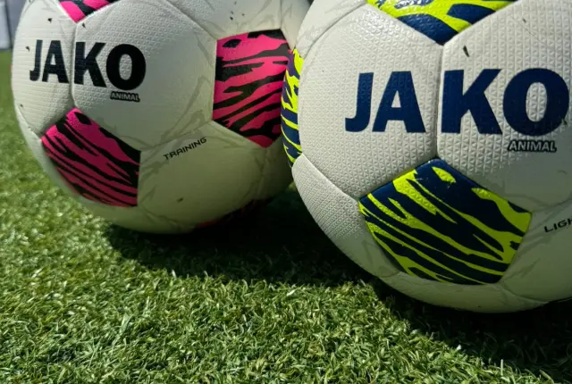 Trainer/in für "Besonders normal" gesucht